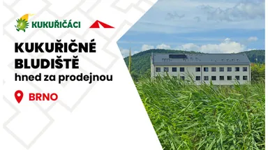 Kukuřičné bludiště Brno
