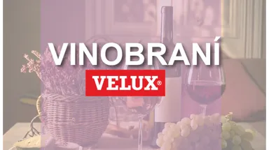 Vinobraní v ProExu 2025