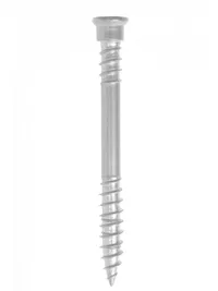 Rapi-Tec TerasoTOP 5x60mm, Torx25, nerez A4 /200ks