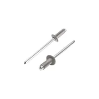 Nýt PZ 3,2x6mm trhací, BHT, KJG-9007 bal. 100 ks