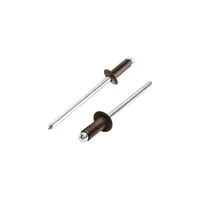 Nýt PZ 4x8mm trhací, TH, KJG-8019 bal. 80,100 ks