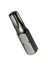 Rapi-Tec utahovací nástavec Torx2025mm