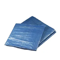 Plachta PE nepromokavá lehká  80g/m2  3 x 4m