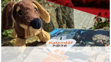 Prodej charitativních kalendářů Tlapky na cestě 2026